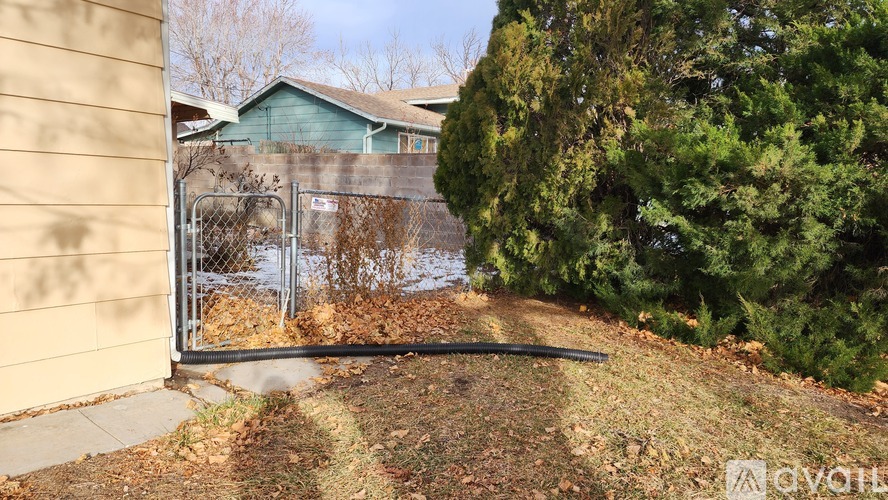 A backyard with a fence and a tree.