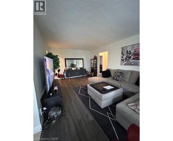 A living room with a grey couch, a coffee table, and a television.