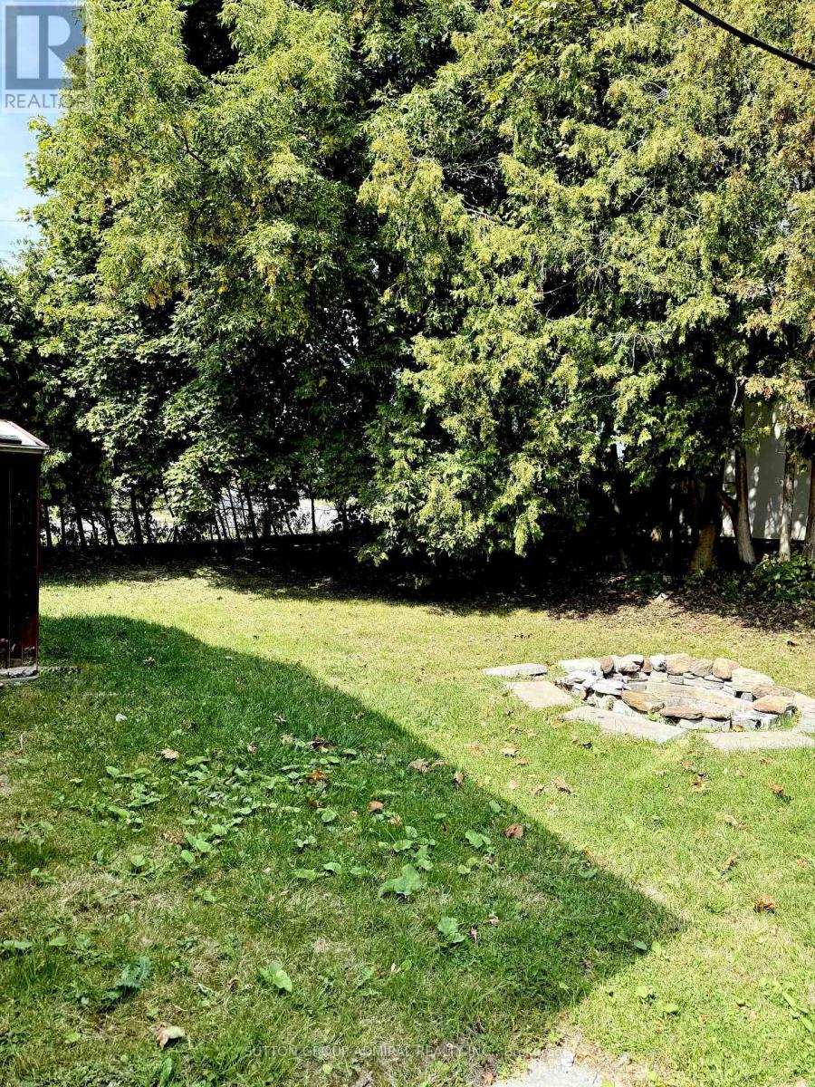 A garden with a fire pit surrounded by trees.