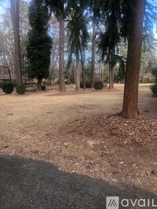 A grassy area with trees and a dirt path.