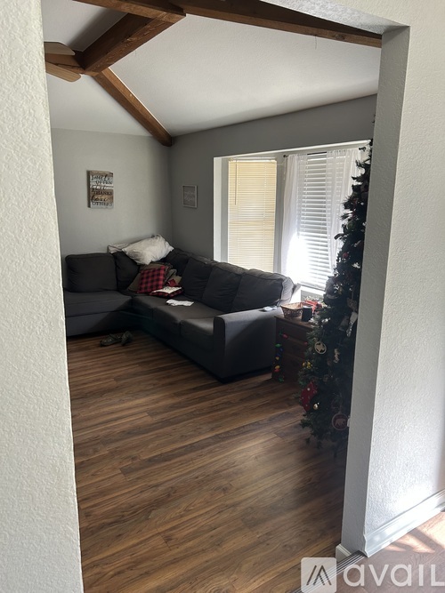 A living room with a grey couch and a Christmas tree.