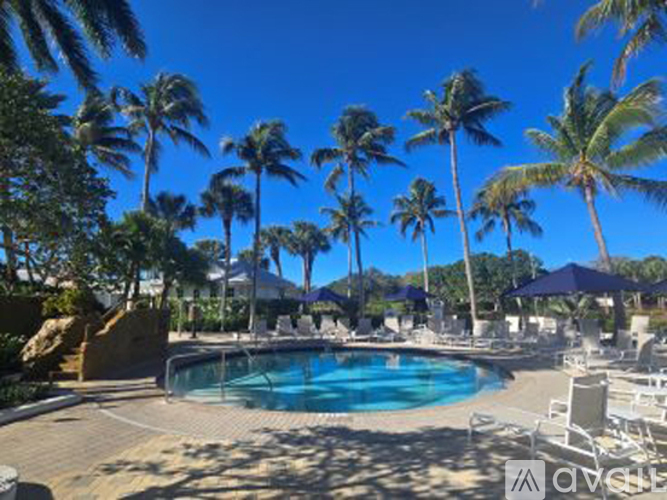 A pool surrounded by palm trees and lounge chairs.
