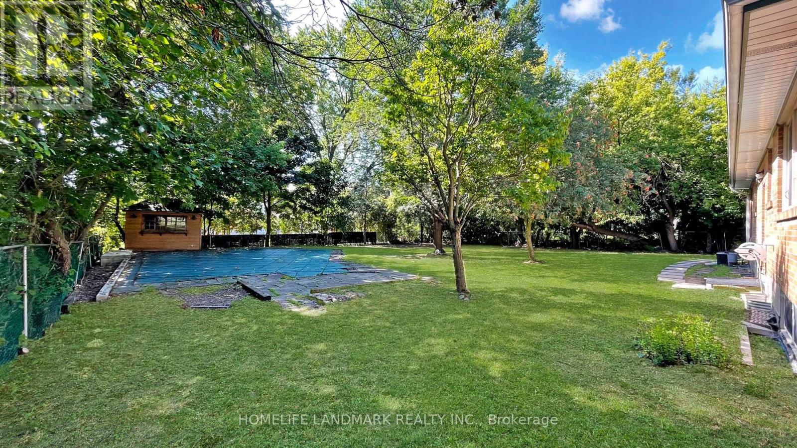 A backyard with a pool and a tree.
