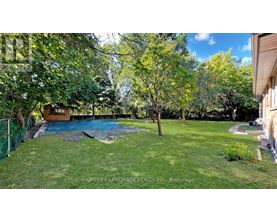 A backyard with a pool and a tree.
