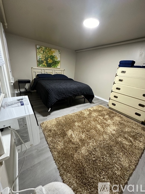 A bedroom with a bed, dresser, and a rug.