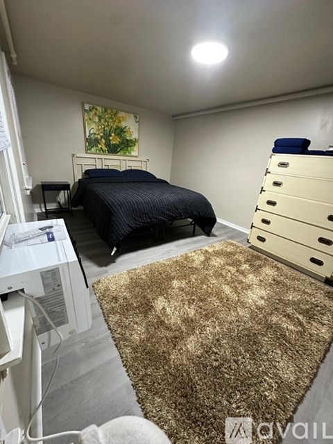 A bedroom with a bed, dresser, and a rug.