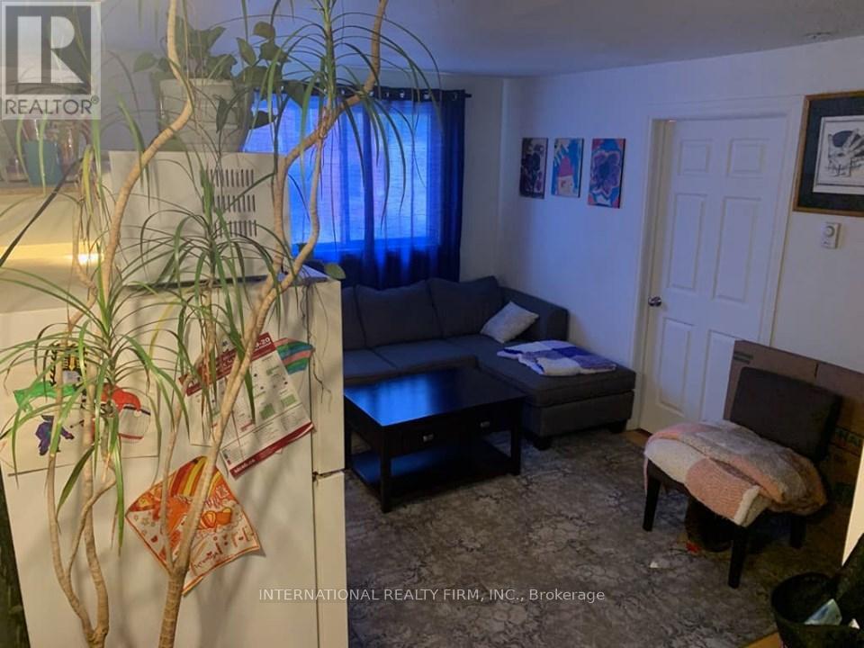 A living room with a couch, chair, and potted plant.