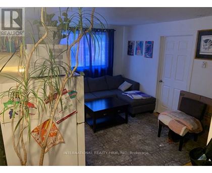 A living room with a couch, chair, and potted plant.