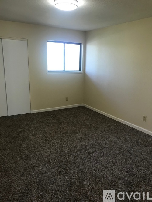 A room with a carpeted floor, a window, and a door.