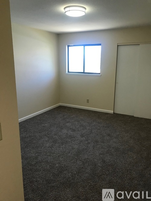A room with a carpeted floor, a window, and a door.