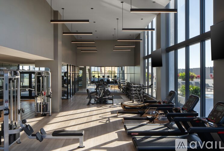 A gym with treadmills, weights, and exercise machines.