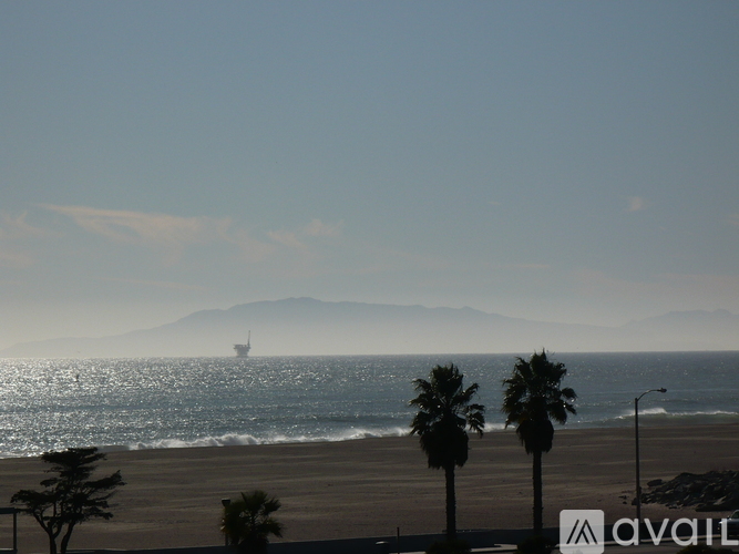 A beach with palm trees and a ship in the distance.