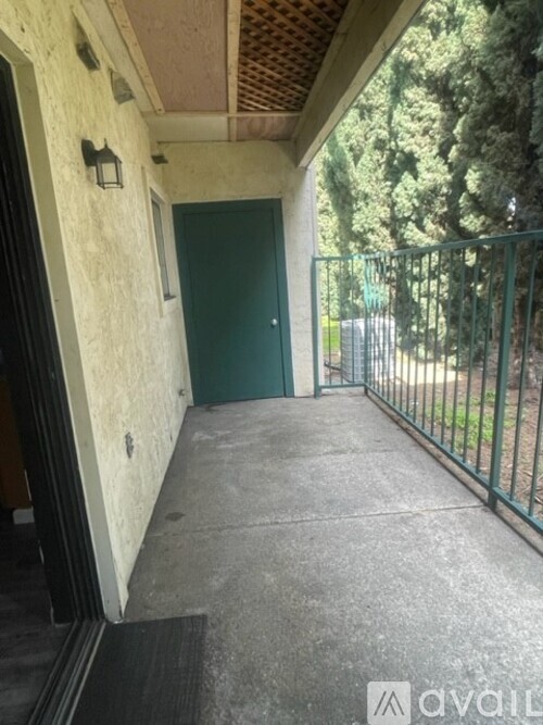 A green door is at the end of a concrete walkway.