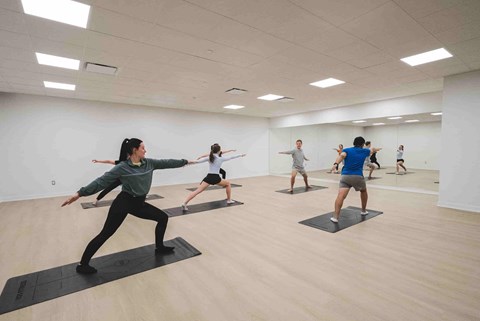 A group of people practicing yoga in a studio.