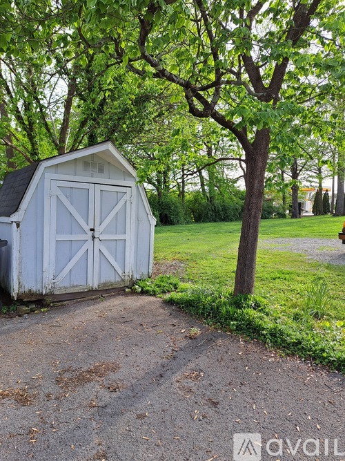 A shed sits in a grassy area next to a tree.