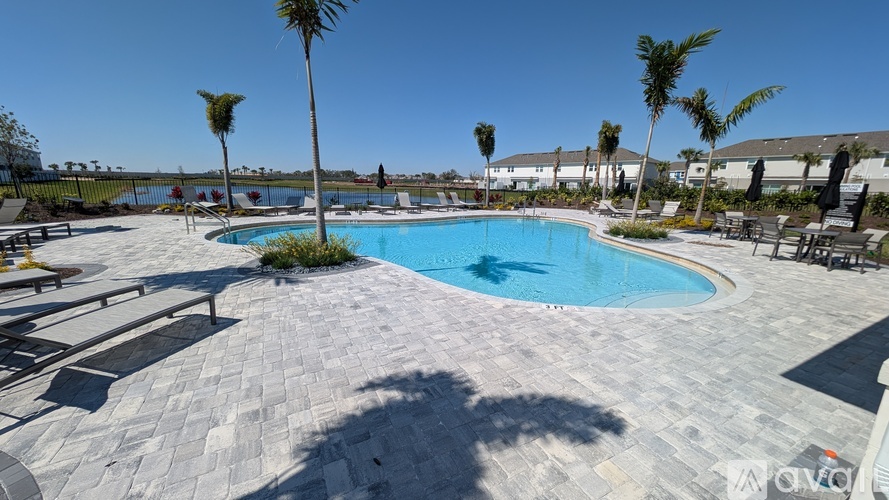 A pool surrounded by palm trees and lounge chairs.