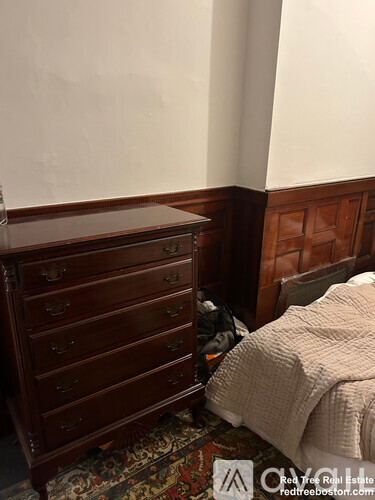 A bedroom with a bed, dresser and a rug.