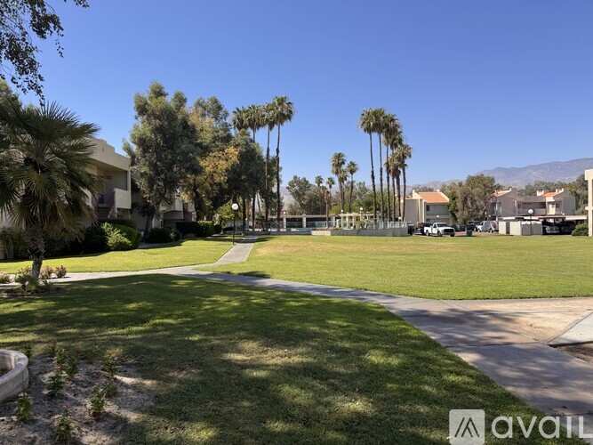 A sunny day in a neighborhood with palm trees and houses.