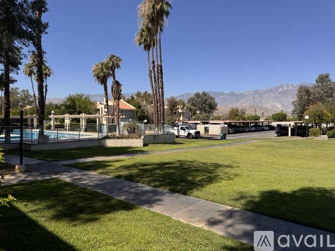 A park with palm trees and a mountain in the background.