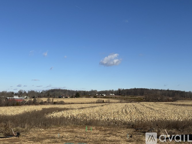 A field with dry grass and a few trees in the distance under a clear blue sky.