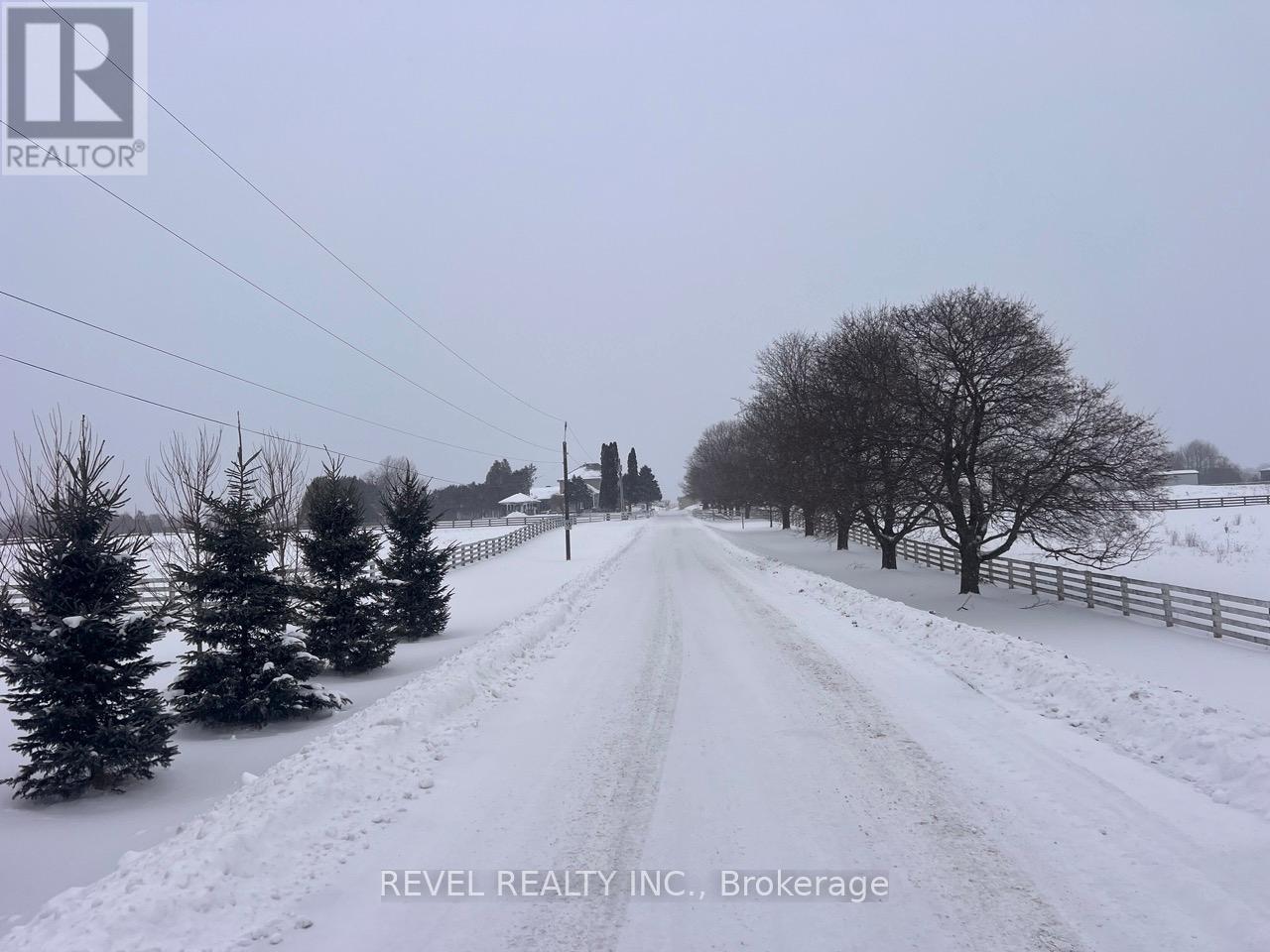 A snowy road with trees and a fence on the side.