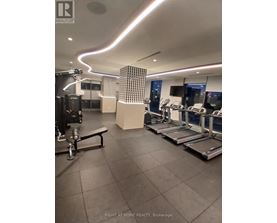 A gym with treadmills and exercise equipment.