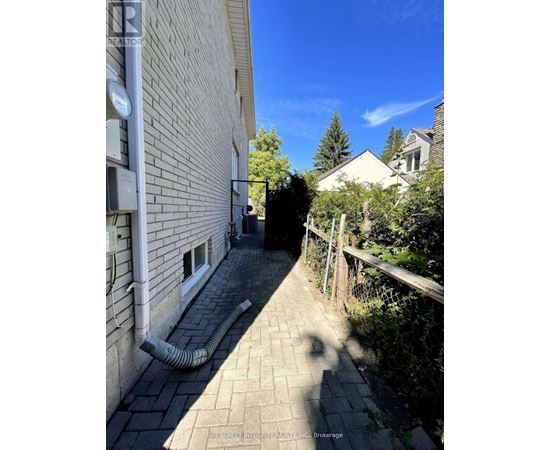 A narrow alley with a building on the left and a tree on the right.