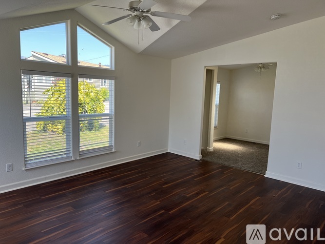 A room with a ceiling fan and a view of a tree through the window.