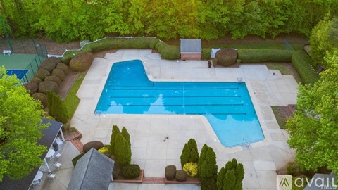 An aerial view of a swimming pool surrounded by trees and bushes.