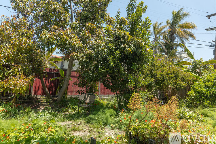 A lush green garden with a variety of plants and trees.