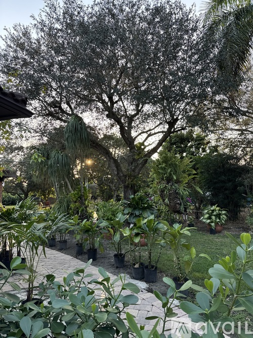 A garden with a variety of plants and trees.