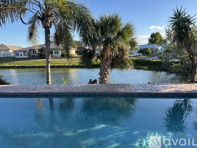 A pool surrounded by palm trees and a house in the background.