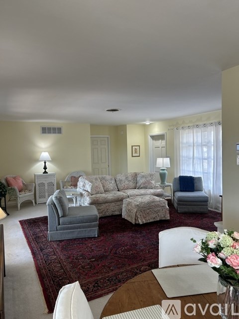 A living room with a grey couch and a red rug.