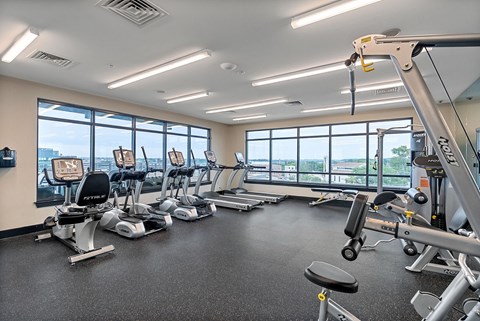 A gym with a row of exercise bikes and a row of treadmills.