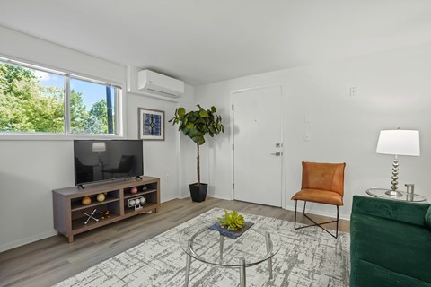 A living room with a television, chair, and potted plant.
