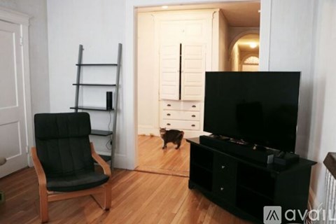 A black chair sits in front of a black television in a room with a cat walking on the floor.