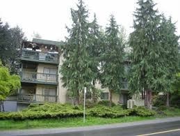 A tree in front of a building.