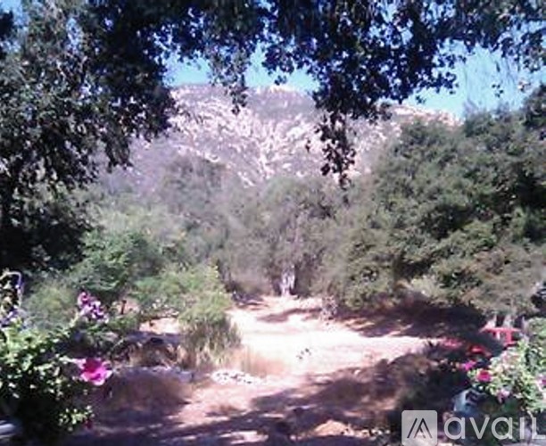 A view of a mountain through trees and flowers.