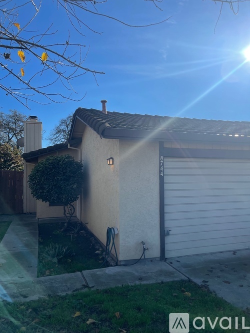 A house with a garage door and a tree in front.