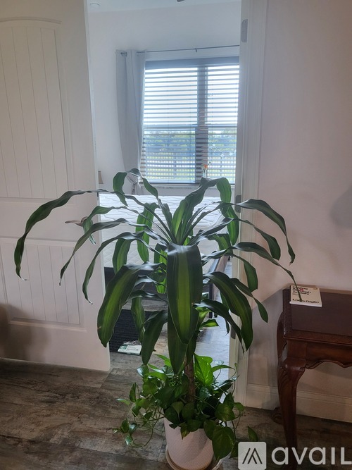 A green plant in a white pot sits on a tiled floor in front of a window.