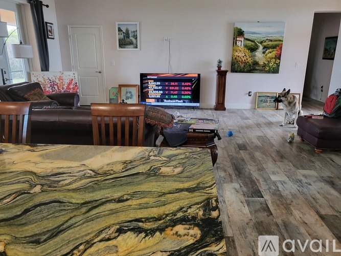 A dog is sitting on a couch in a living room.