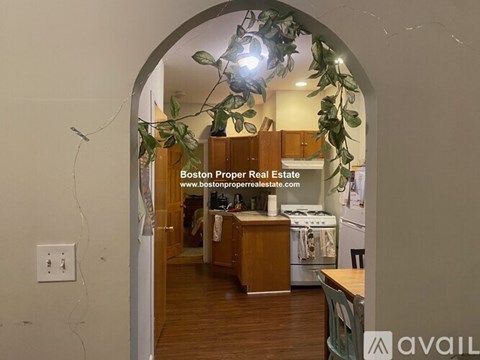A kitchen with wooden cabinets and a plant hanging from the ceiling.