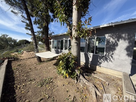 A tree in front of a house with a fence in the background.