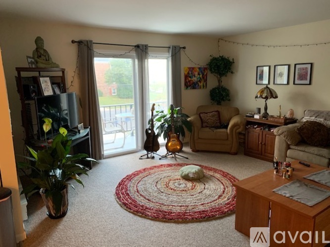 A living room with a rug, a couch, a chair, a potted plant, a television, and a window.
