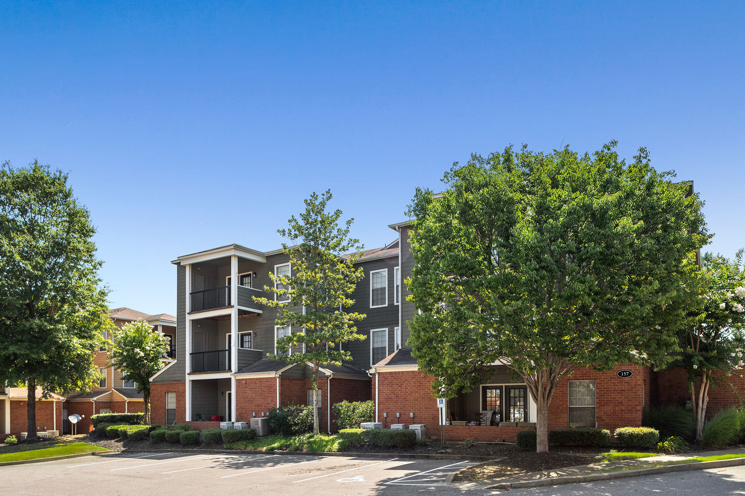 Exterior of Walnut Hill Apartment Homes with large shade trees on a sunny day