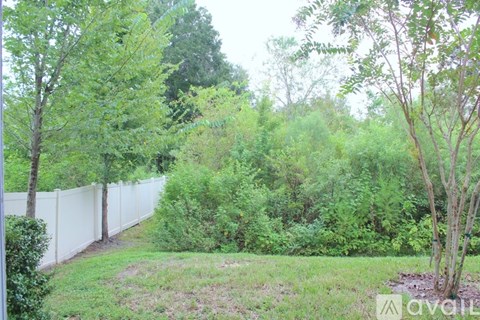 A white fence separates a grassy area from a wooded area.