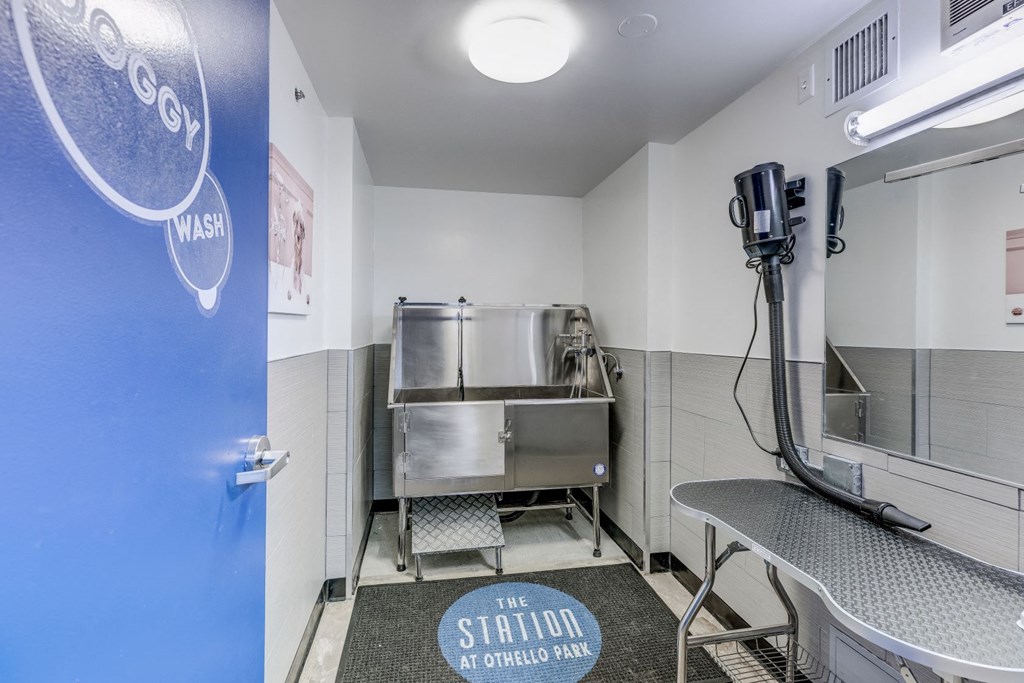 a laundry room with a sink and a dryer in it