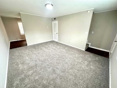 A room with a grey carpet and white walls.