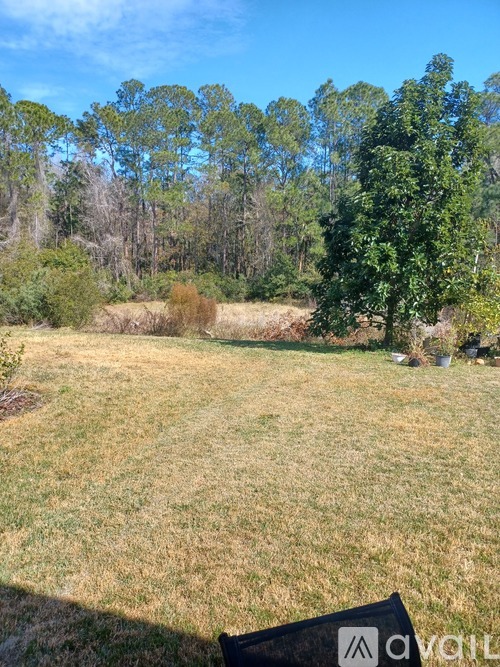 A grassy field with trees in the background.