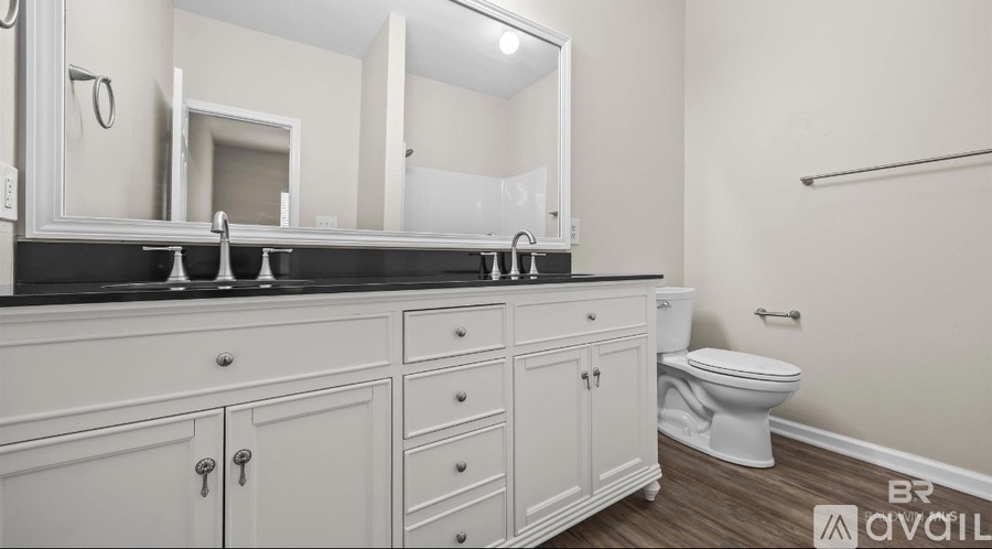 A bathroom with a white toilet and a vanity with a mirror and two sinks.